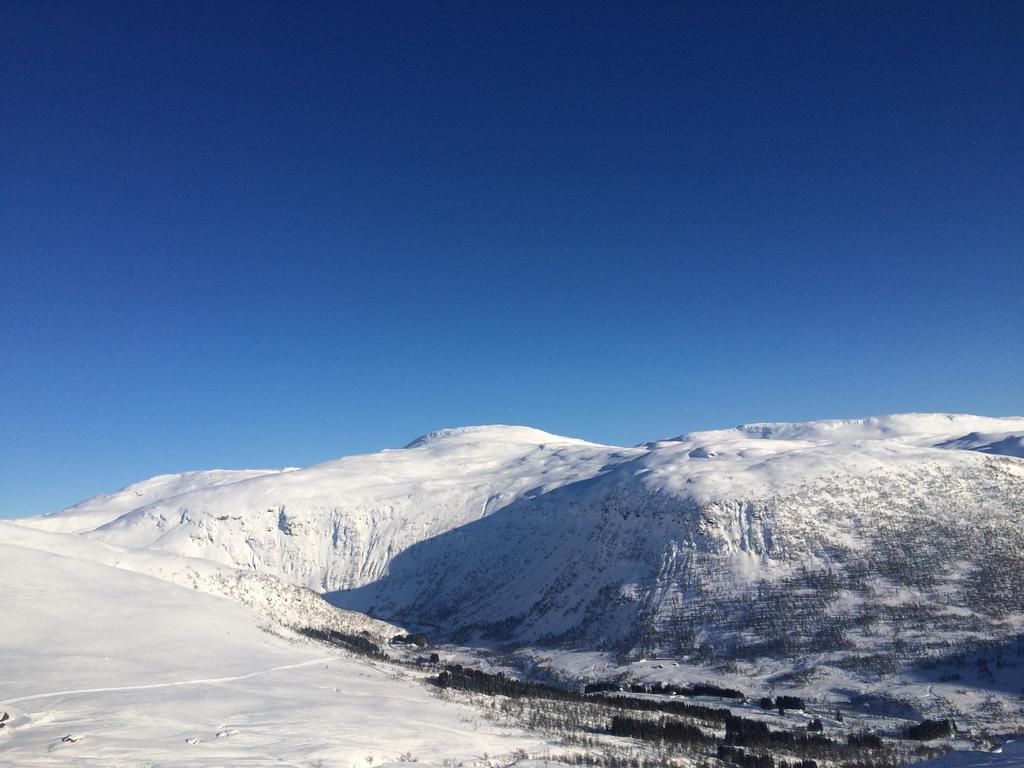 Voss- Myrkdalen Lodge Vossestrand Kültér fotó